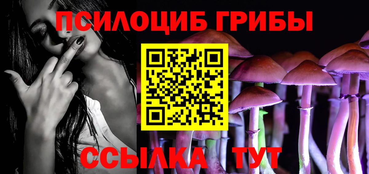 Нефтеюганск  Галлюциногенные грибы Cubensis  Вход с VPN 